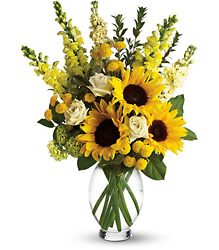 Here Comes The Sun by Teleflora from Schultz Florists, flower delivery in Chicago